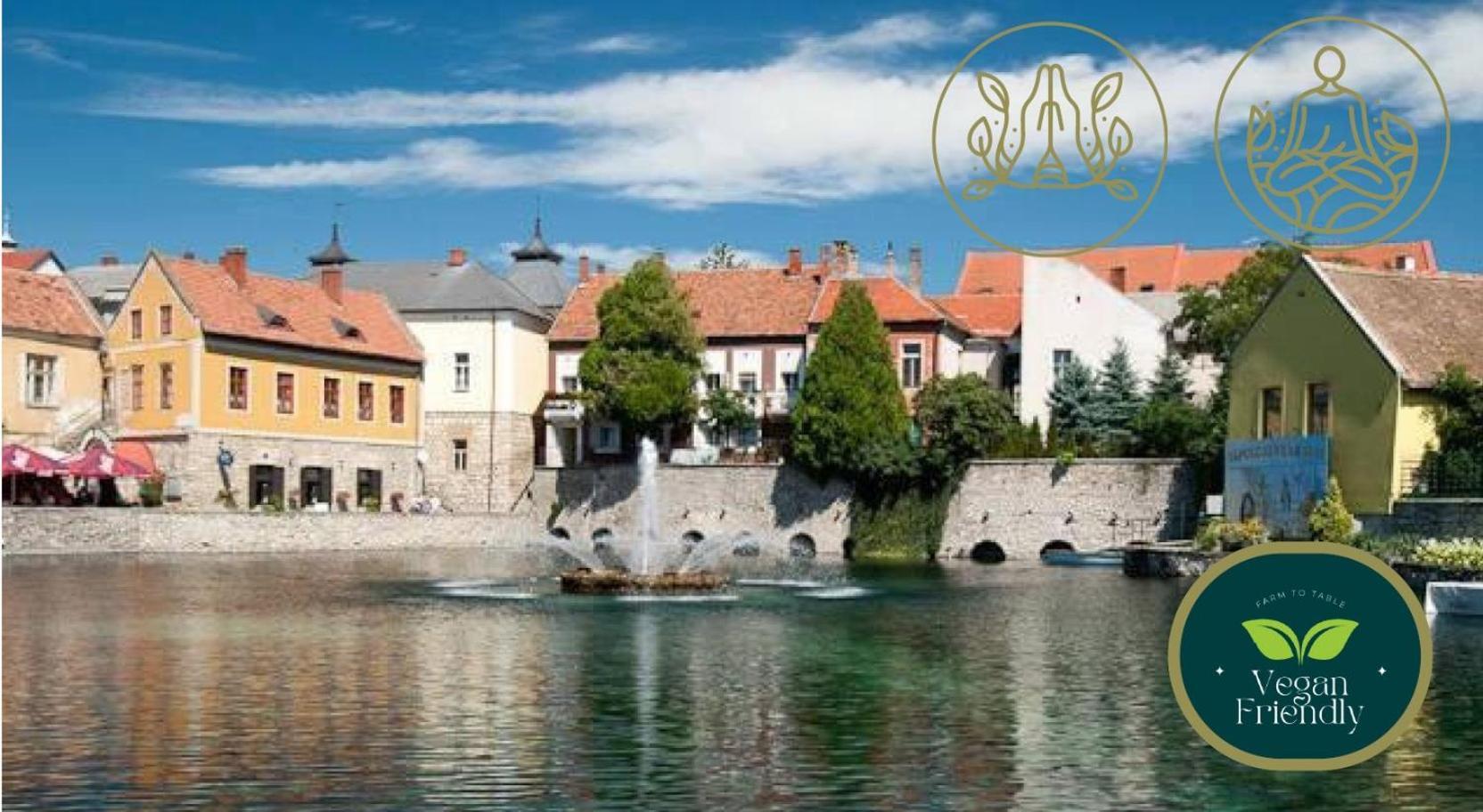 Malom-tó Vendégház Tapolca Extérieur photo